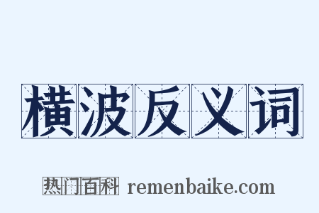 横波反义词是什么意思的图片